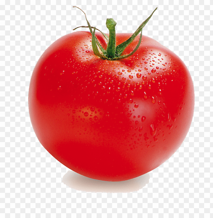 tomato png, png,tomato