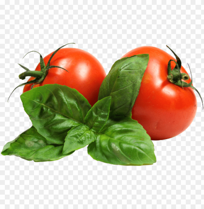 tomato png, png,tomato