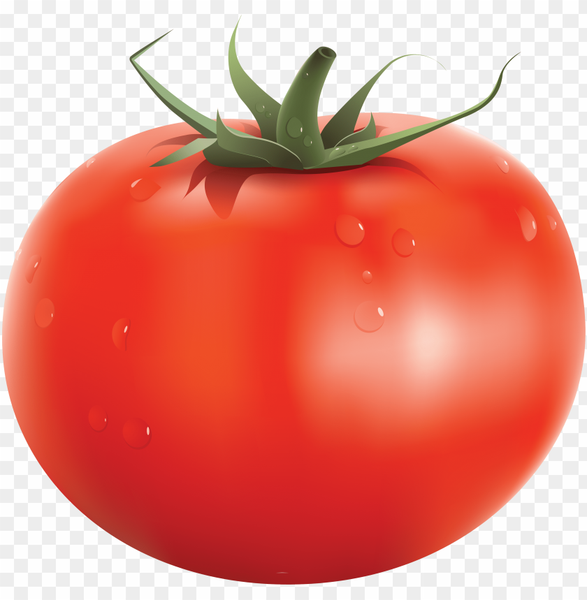 tomato png, png,tomato