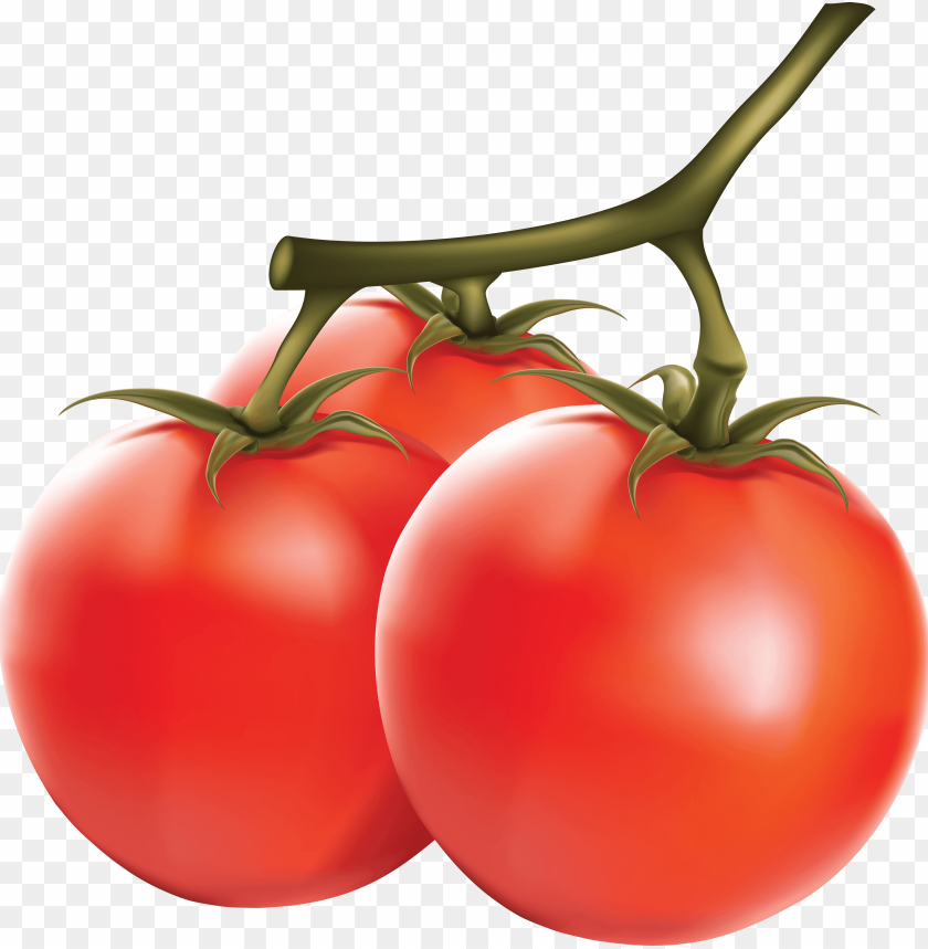 tomato png, png,tomato