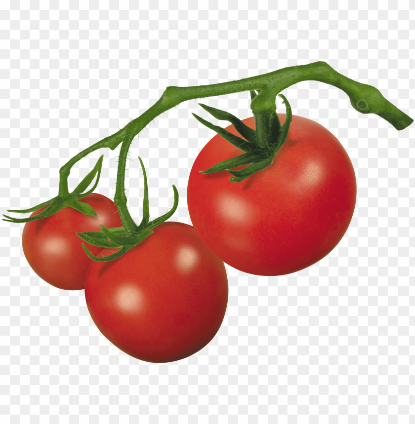 tomato png, png,tomato