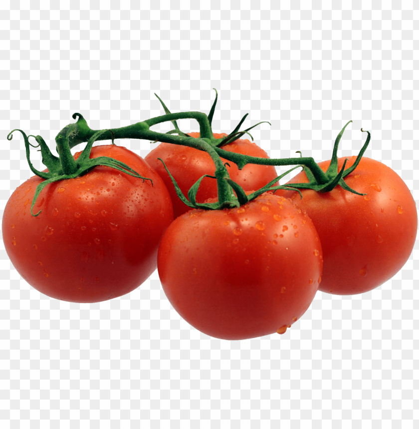 tomato png, png,tomato