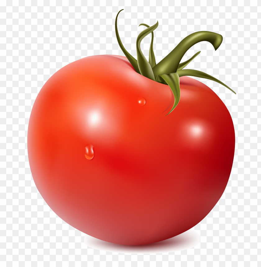 tomato png, png,tomato