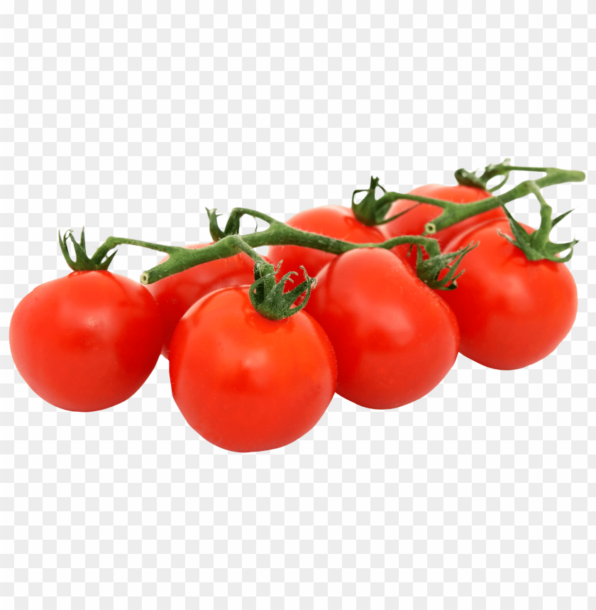 tomato png, png,tomato