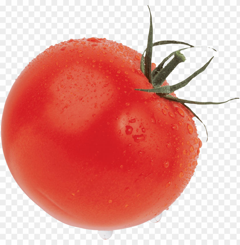 tomato png, png,tomato