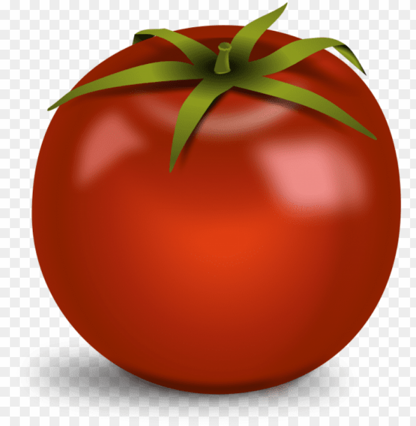 tomato plant, tomato, tomato slice