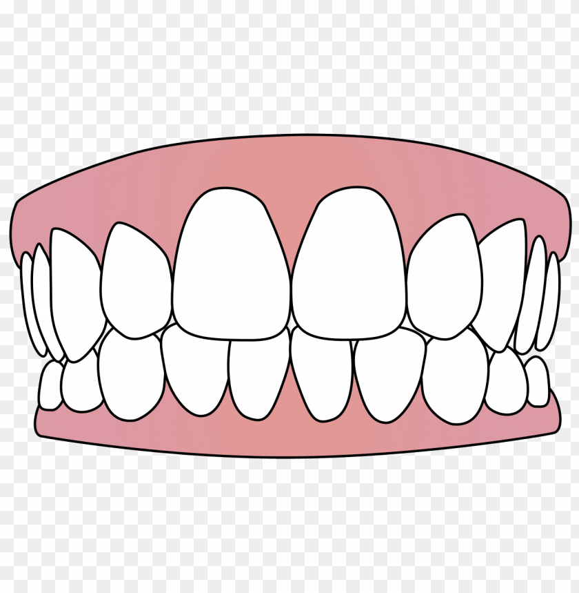 tooth png, tooth,png