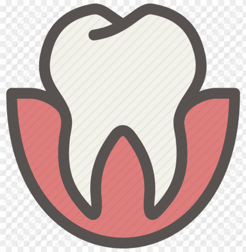 tooth png, tooth,png