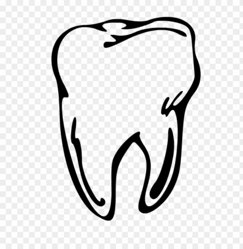 tooth png, tooth,png