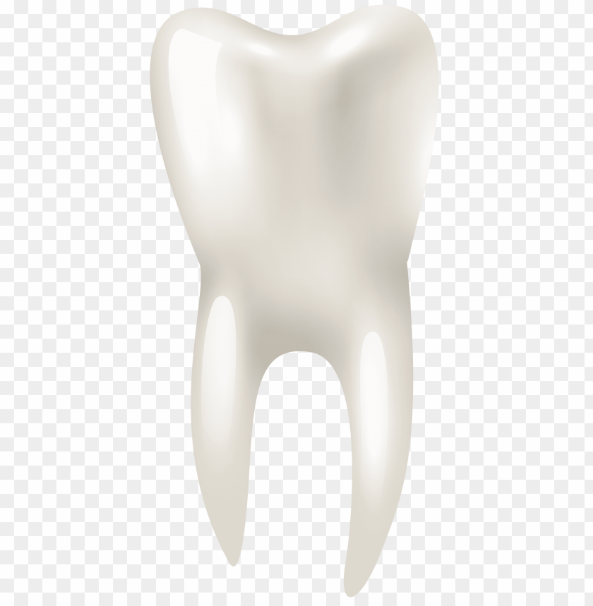 tooth