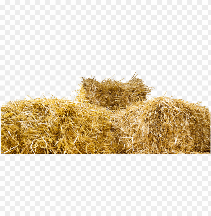 miscellaneous, bales, top of straw bales, 