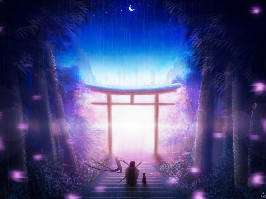 torii, art, solitude, night, warrior