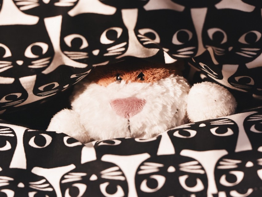 Toy Teddy Peeking Pattern Cats Background