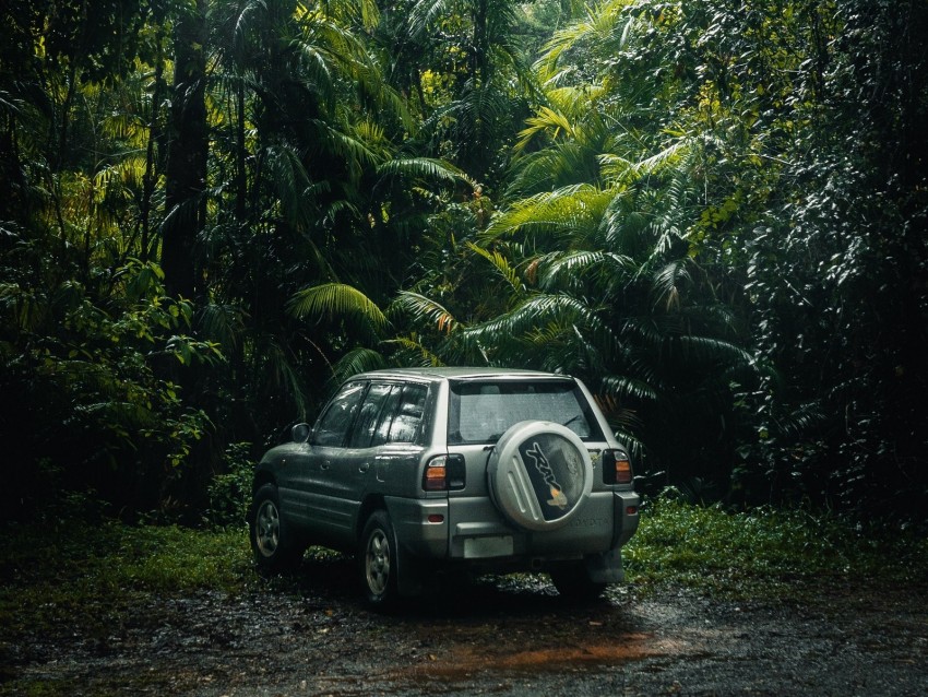 toyota rav4, toyota, suv, jungle, tropics