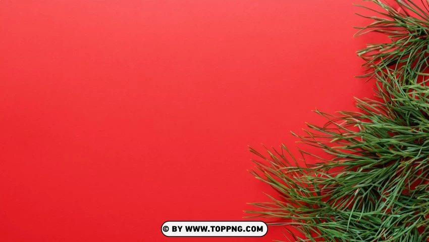 Traditional Christmas Theme Red Green Pine Branches PNG Transparent Background