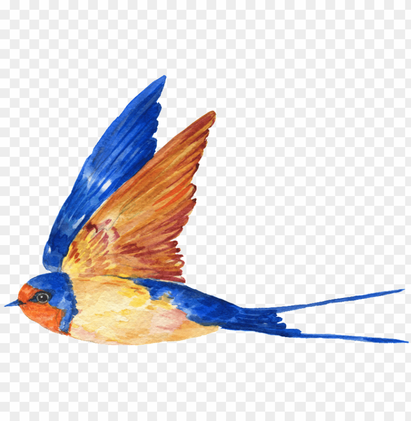 phoenix bird, twitter bird logo, big bird, bird wings, flappy bird pipe, bird