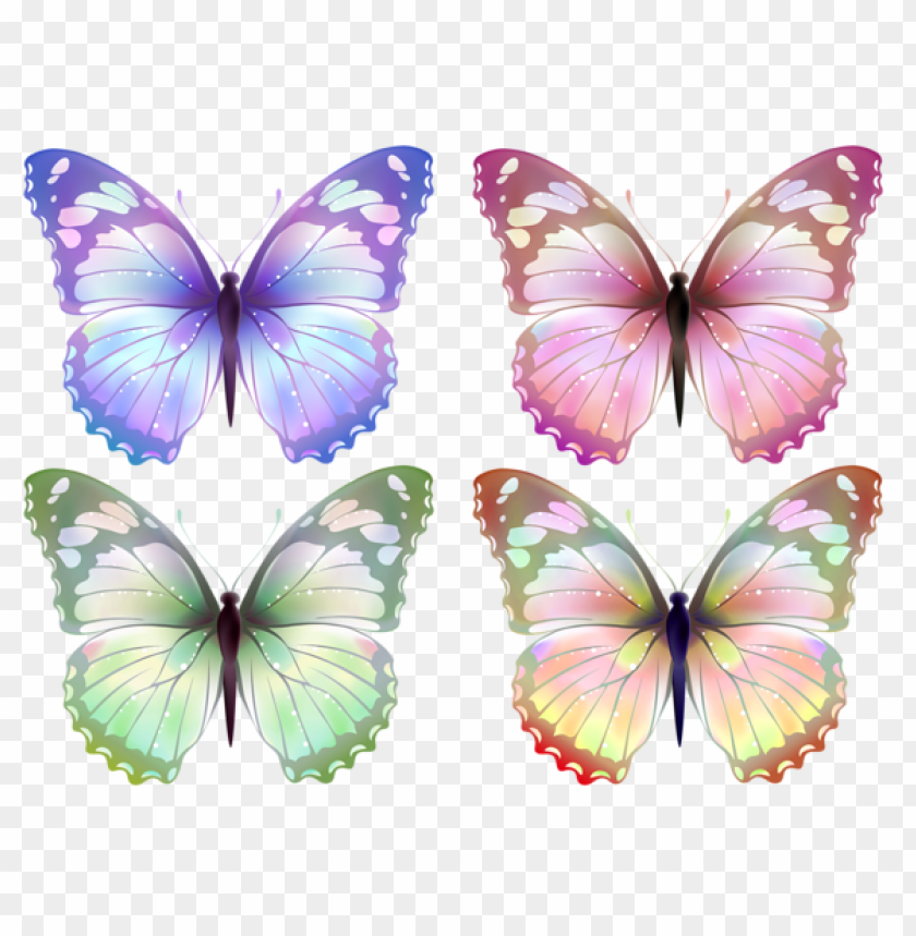 butterflies ,butterfly ,moth ,tortoiseshell