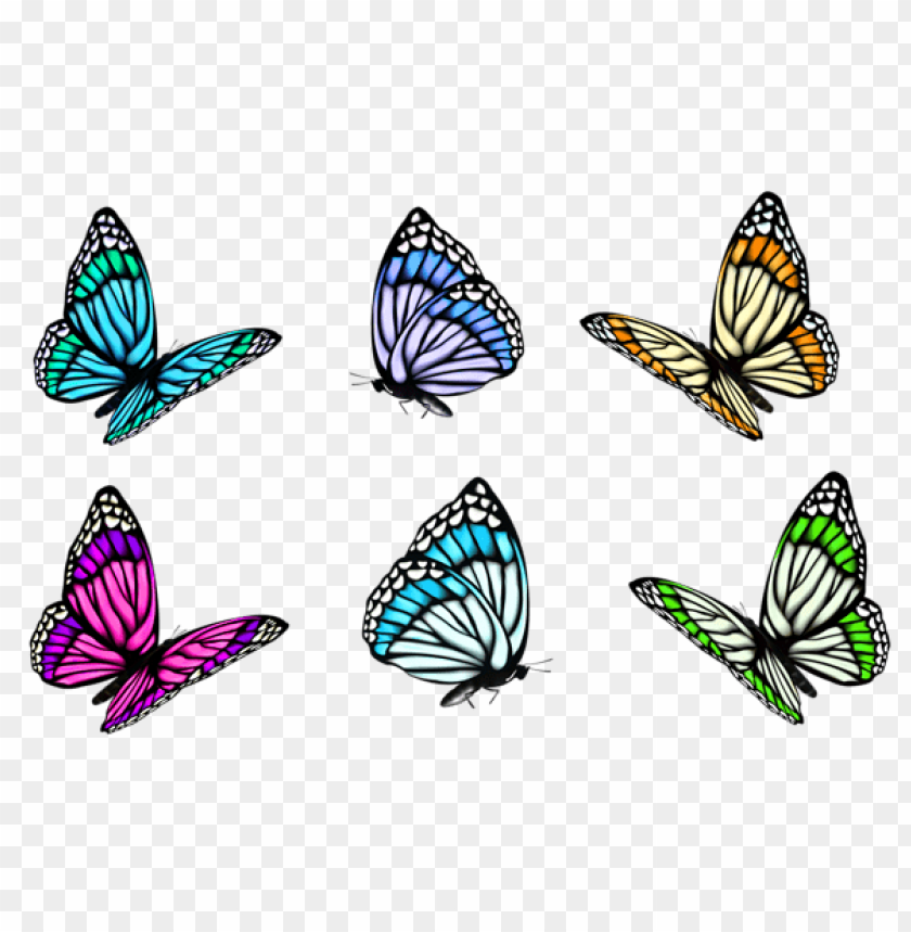 butterflies ,butterfly ,moth ,tortoiseshell