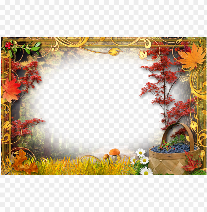 transparent fall frames, transpar,frames,frame,transparent,fall