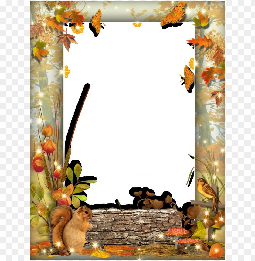 transparent fall frames, transpar,frames,fall,frame,transparent