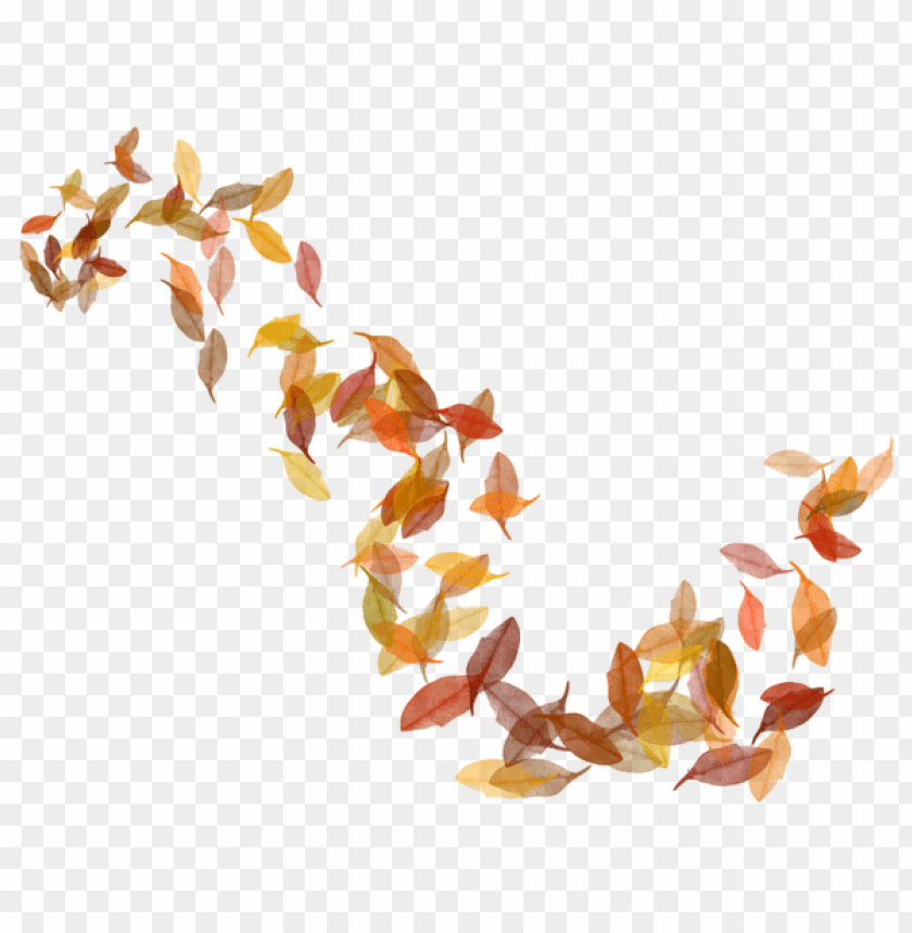 fall leaves, autumn foliage, colorful leaves, nature decor, seasonal plants, leaf pattern, dried leaves