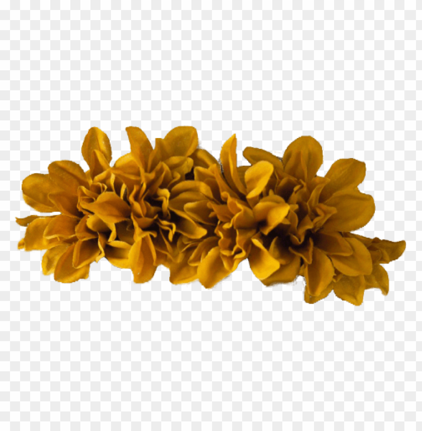 transparent flower crown png, crown,transparent,transpar,flower,flowercrown,png