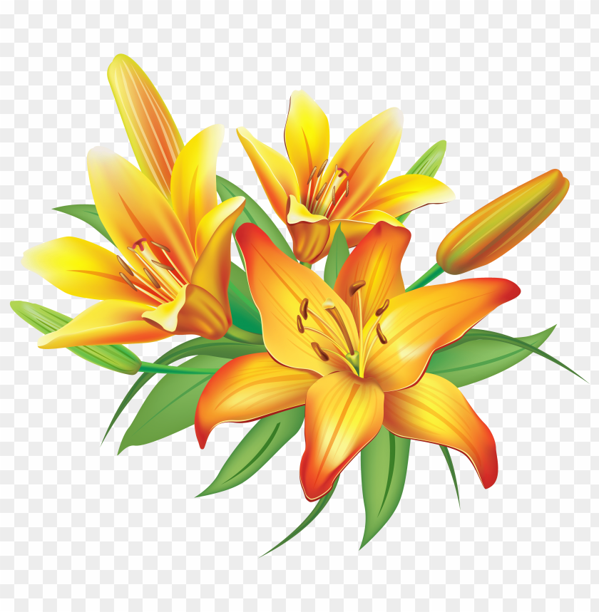 flowers, orange lilies, yellow blooms, floral arrangement, nature decor, botanical art, garden flowers