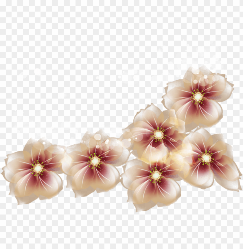 transparent flowers