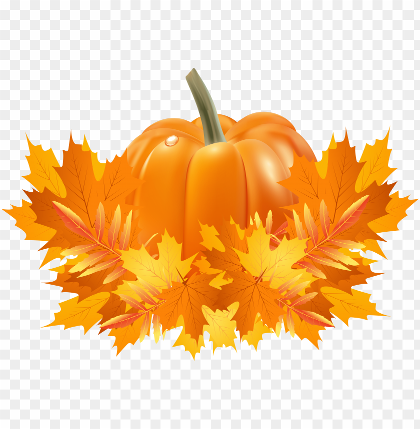 background, branch, pumpkin, green leaf, graphic, flowers, fall background