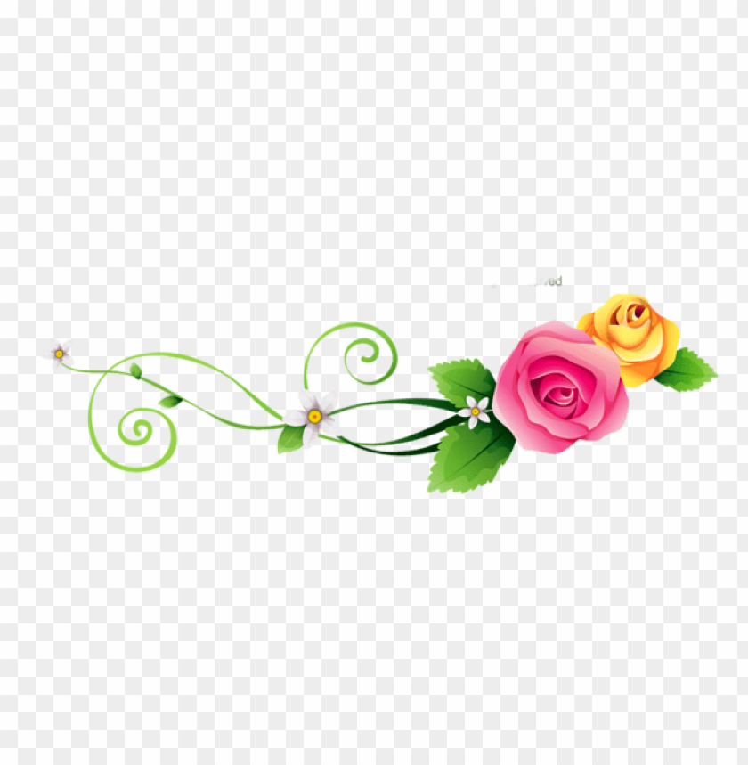 transparent roses decoration