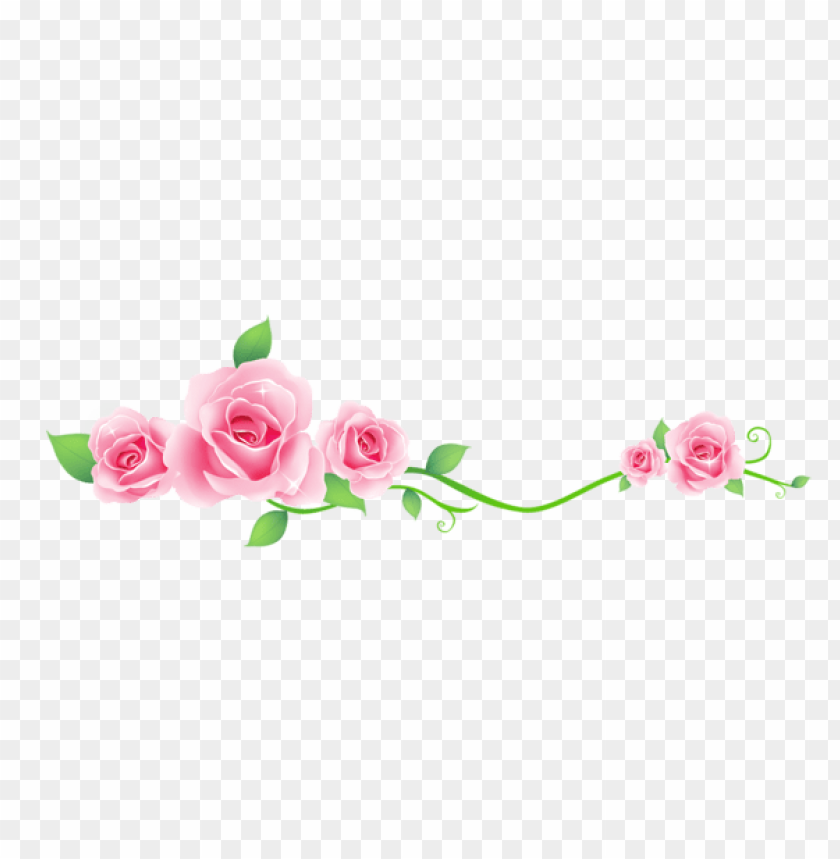 transparent roses decoration