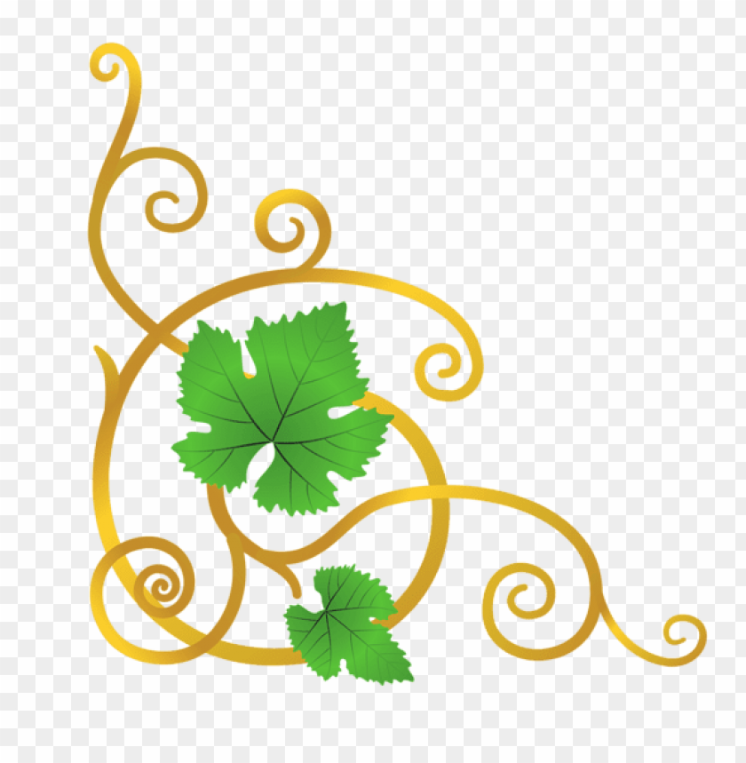 transparent vine elementpicture