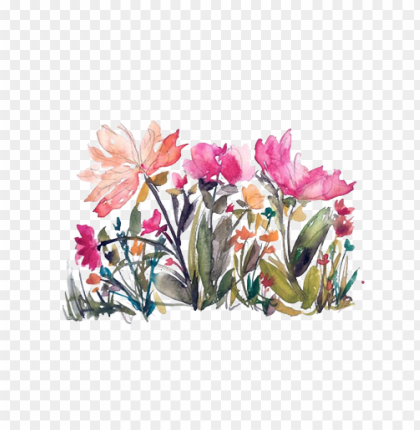 flowers, botanical art, watercolor painting, garden flowers, floral design, blooming plants, colorful petals