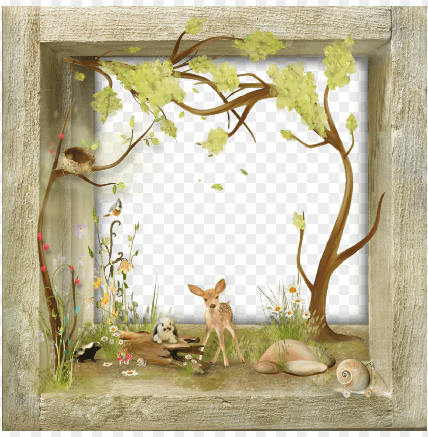 nature scene, forest animals, wildflowers, deer, tree branches, birds, snails