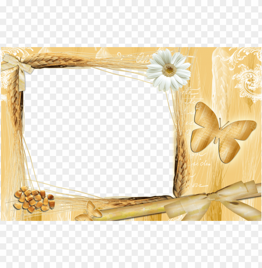 nature frame, wheat, butterfly, daisy flower, decorative border, natural elements, artistic design