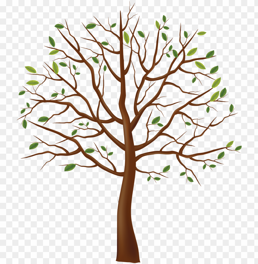 Illustration of a brown tree with green leaves on a transparent background PNG