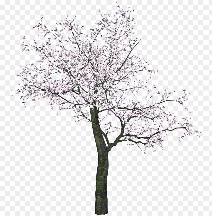 tree png,tree png image,tree png file,tree transparent background,tree images png,tree images clip art,tree images hd