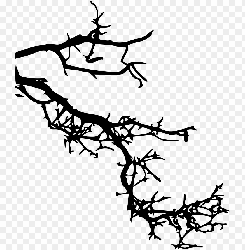 Black silhouette of an intricate branch with twigs and thorns PNG