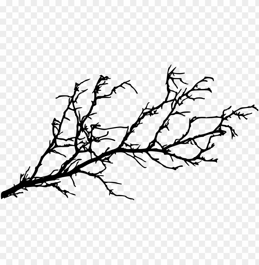 Black silhouette of a bare branch with intricate twigs and limbs PNG