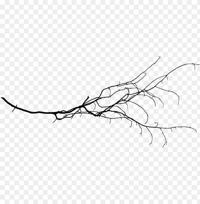 Black branch with twigs on a transparent background PNG