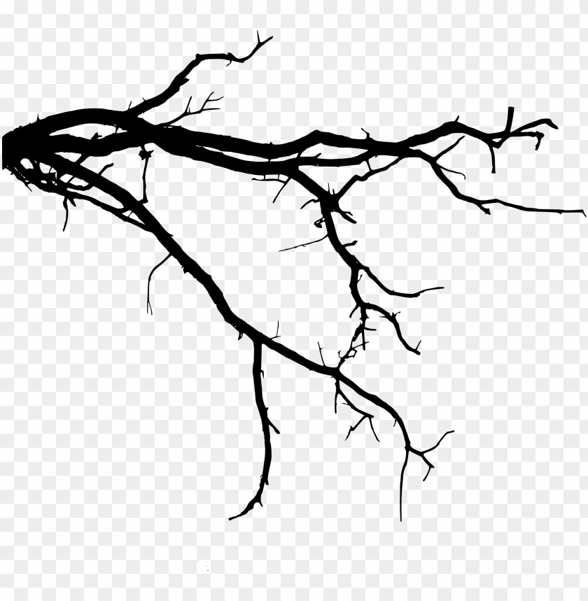 Black silhouette of a tree branch with multiple twigs PNG