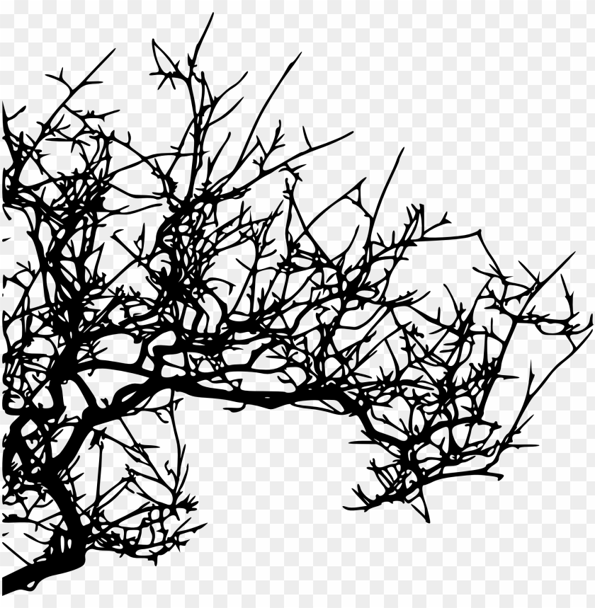 Black silhouette of a branch with thin, intricate twigs and leaves PNG