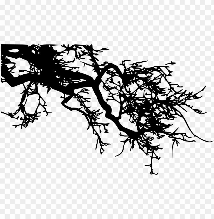 Silhouette of a tangled tree branch with intricate twigs and leaves PNG