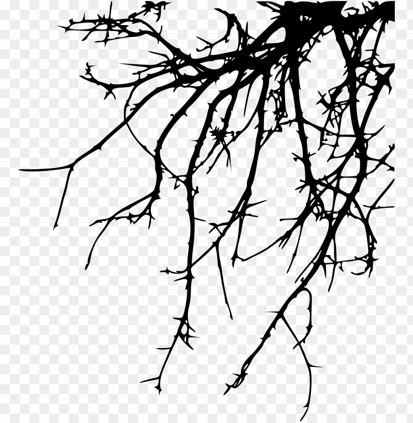 Black silhouette of thorny branches on a transparent background PNG