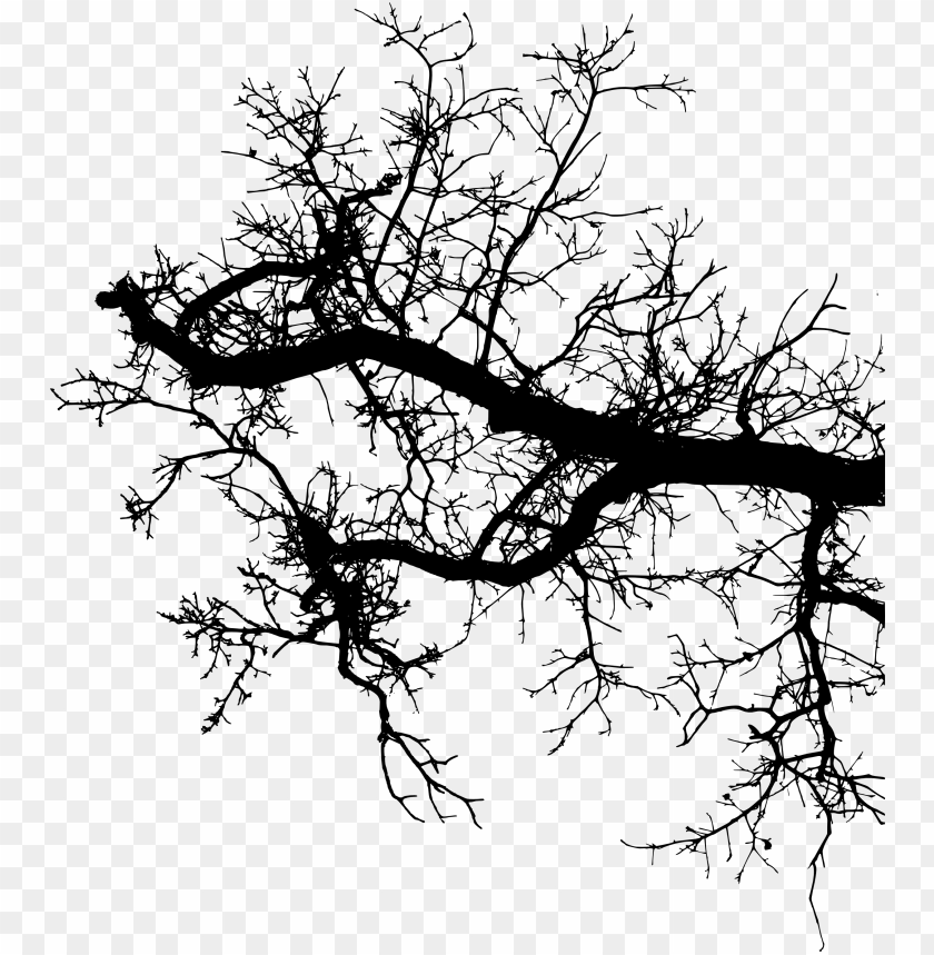 Silhouette of a gnarled tree branch with intricate twigs PNG