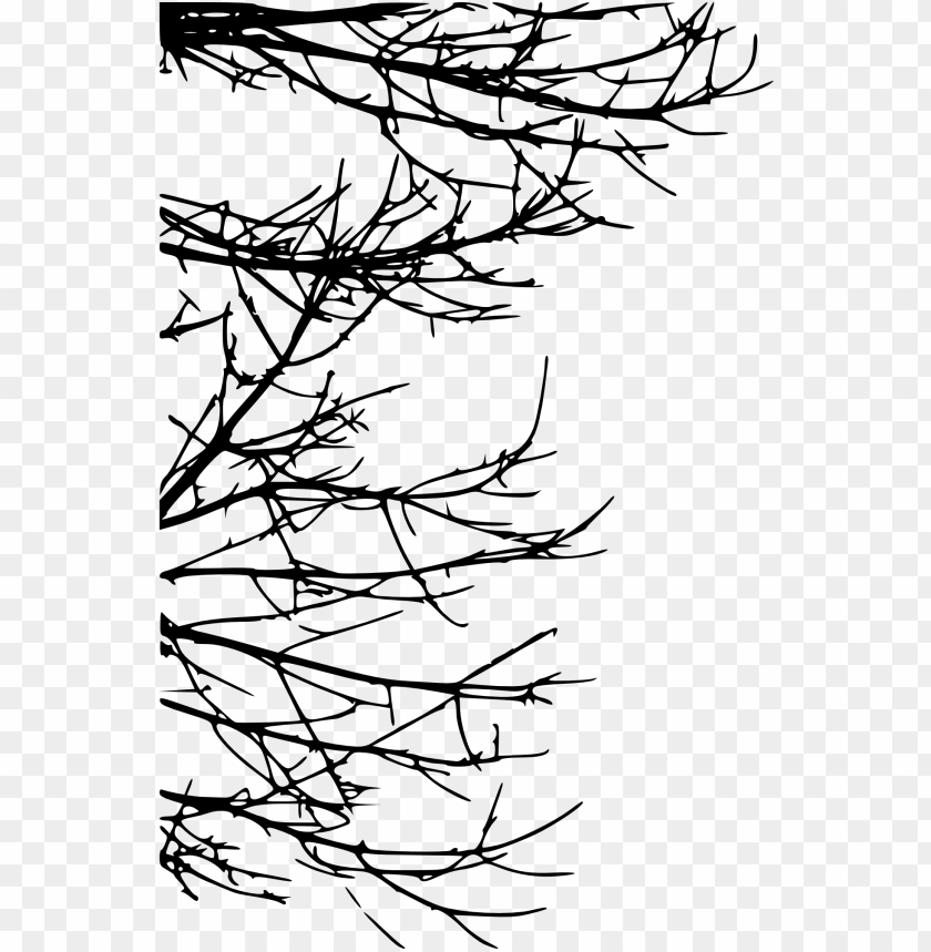 Black silhouette of bare tree branches on a transparent background PNG