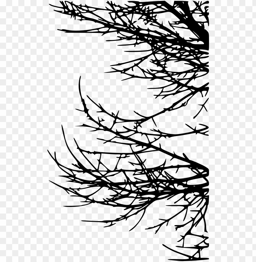 Silhouette of a bare tree branch with intricate twigs and thorns PNG