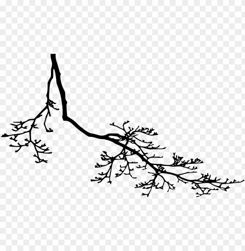 Black silhouette of a small tree with a transparent background PNG