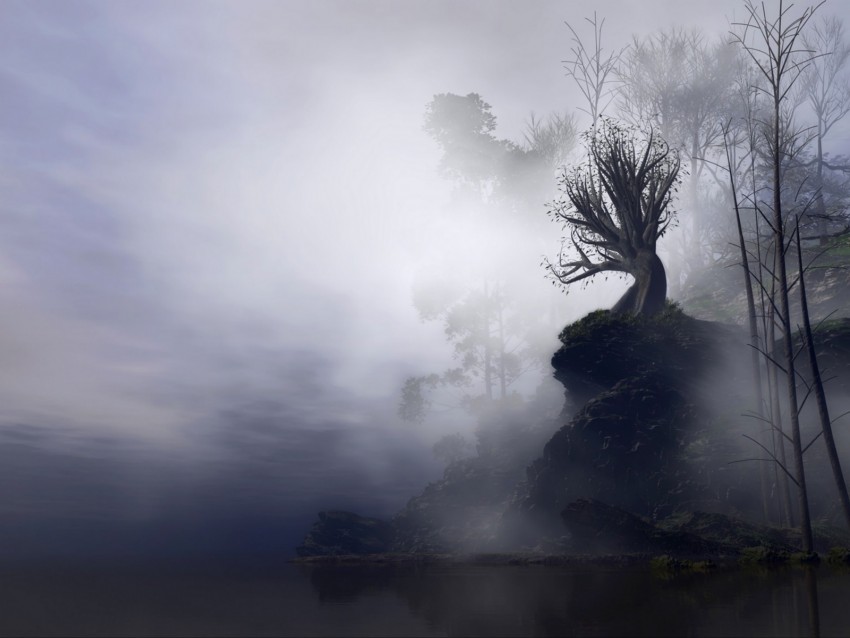 Tree Fog Art Rock Cliff Branches Gloomy Background