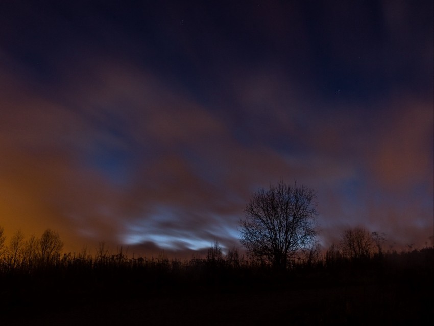 Tree Fog Clouds Night Starry Sky Background